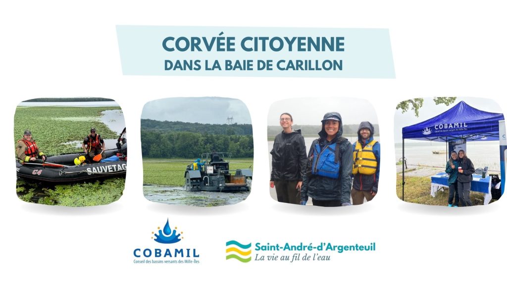 Corvée citoyenne dans la Baie de Carillon